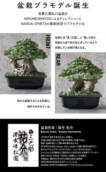 SheetNo:37588 <OrderPrice$1850> #盆栽 五葉松=SRL X Bandai Spirits . Bonsai Model Kit