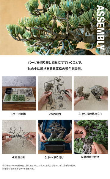 SheetNo:37588 <OrderPrice$1850> #盆栽 五葉松=SRL X Bandai Spirits . Bonsai Model Kit