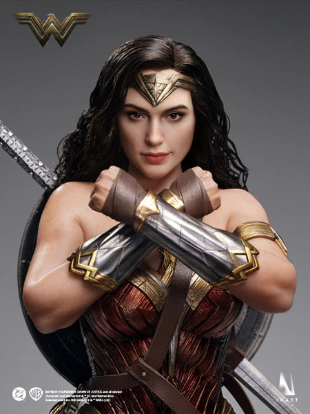 訂貨碼:88355  <OrderPrice$2860> #(植髮頭雕可動眼&矽膠身)神奇女俠(國內版)=1/6 蝙蝠俠對超人:正義曙光 Batman v Superman: Dawn of Justice Collectible Figure