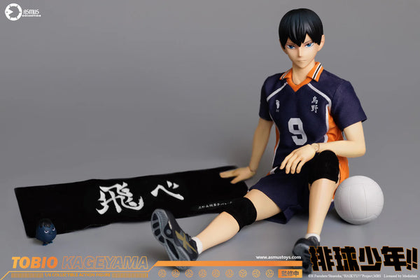 訂貨碼:88903 <訂價$1580> #(豪華版)影山飛雄=1/6 排球少年Chainsaw Man COLLECTIBLE ACTION FIGURE(HQ02LUX)