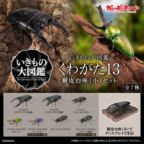 訂貨碼:30909&30910 <訂價$199&399> #鍬形蟲13 細樹皮底座套裝=生物大圖鑑Advance扭旦 (NamcoPark限定)