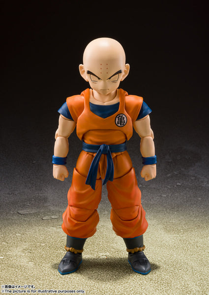 Z(ONLINESALES等通知現貨)No:698711 <Price$199> #無閑 (地球人最強之男)=DBZ【現貨 SHF系列】4573102698711